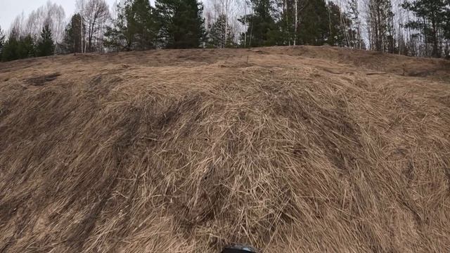 Третья вывозка после зимы 11 апреля 2026