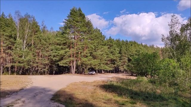 Мещёра. Рязанская обл. Озеро Озерье. Сентябрь 2023 года.