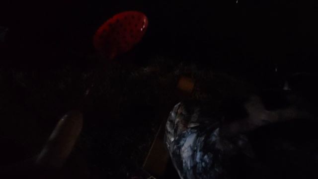 Поехали в чайку ловить форель 5 а наловились так за сутки что самим стыдно