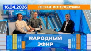Лесные фотоловушки. Народный эфир