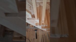 1000056243.mp4 (Собака наблюдает за устройством лестницы на 2-ой этаж в доме А-фрейм)