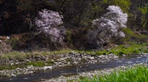 Ваша судьба решается сегодня. Что нельзя есть и делать 18 апреля.