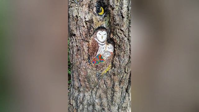 Уникальная картина на деревьях в Измайловском парке