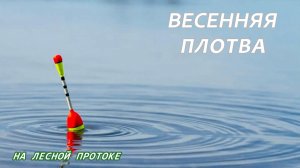 Рыбалка на поплавок весной. Плотва на маховую удочку.