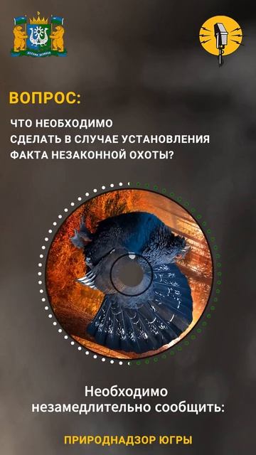 Подкаст Порядок действий при выявлении фактов незаконной охоты браконьерства