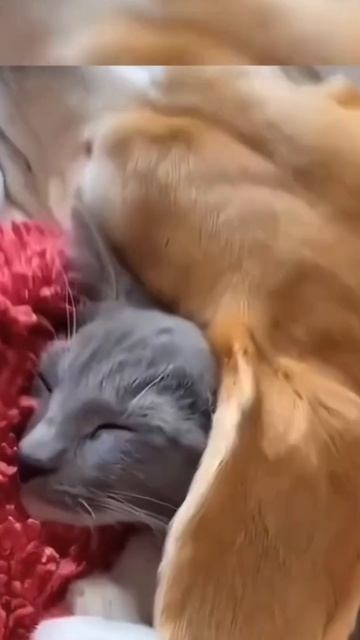 Friends Will Be Friends...