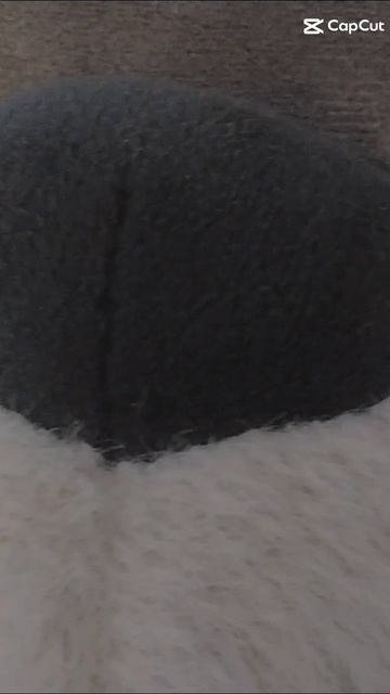 Все истории о морже (музыка от ии)