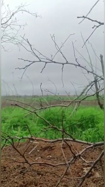 Запорожский фронт Работино 
Воложанин Александр позывной Якудза 2023г. СВО