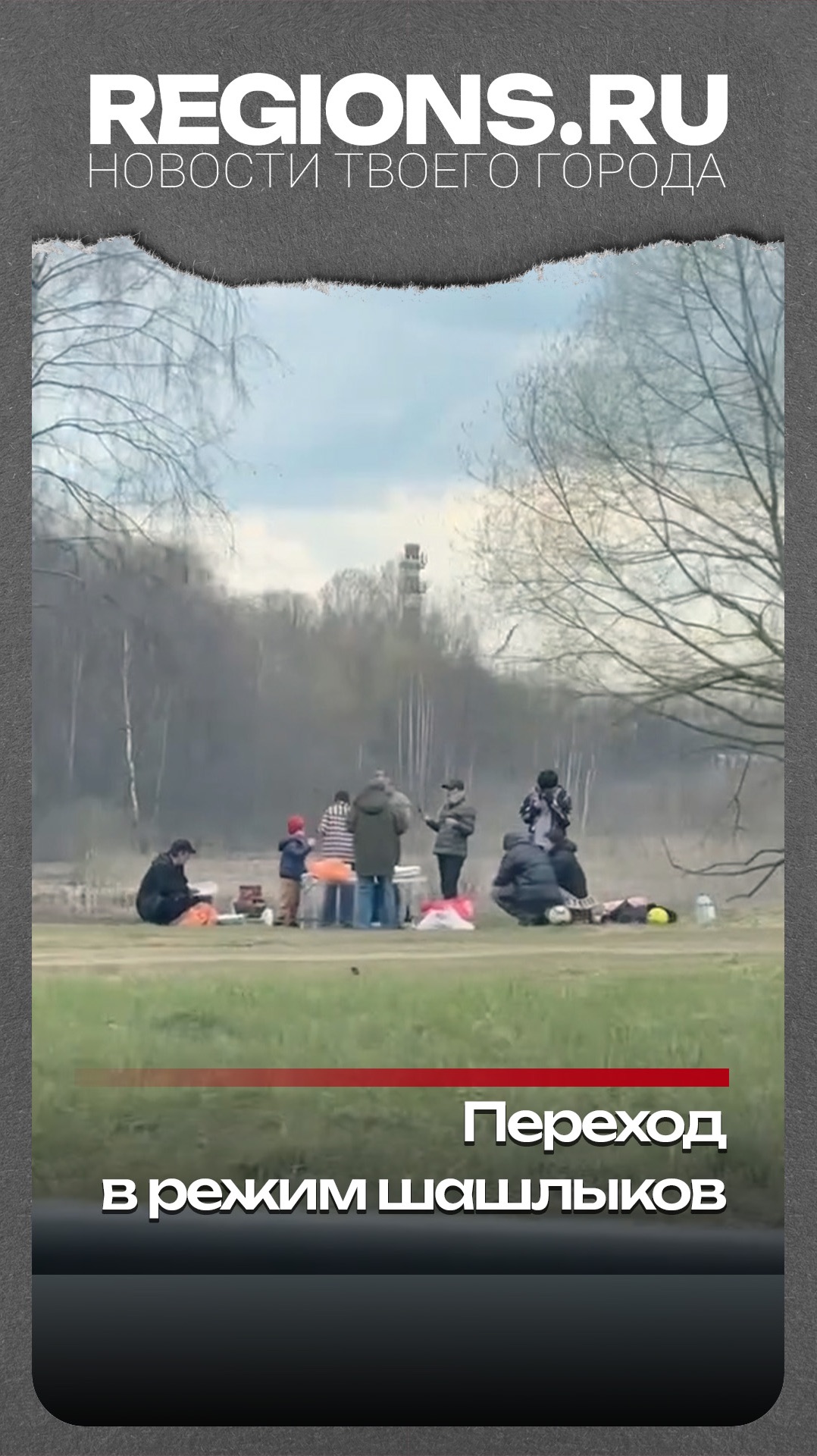 Переход в режим шашлыков