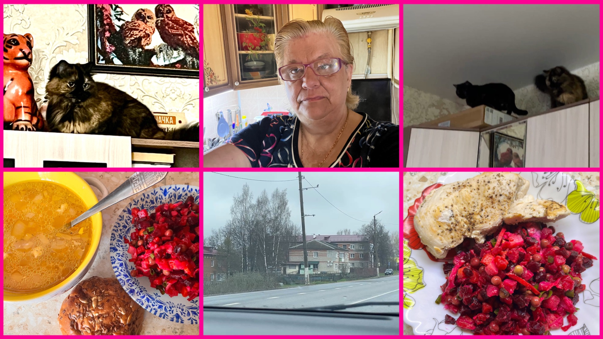 17.04.26 🐈КОШКИ ТАК РАЗВЛЕКАЮТСЯ ✨ У ВАС ТАК БЫВАЕТ ✨