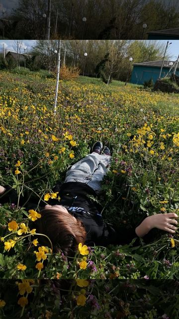 Я утопилась в одуваиках