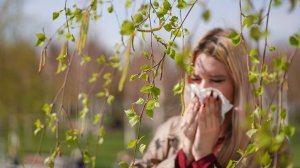 Пик аллергии не за горами: цветение берез начнется раньше срока