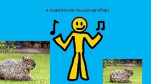 я прохожу паркур я пушистая как мышка капибара