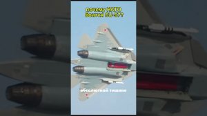 Почему НАТО боится SU-57 #авиация #авиаперелеты #гражданскаяавиация #самолет