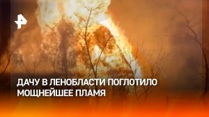 Дачу под Гатчиной спалило мощное пламя — всему виной обогреватель