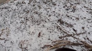 Голубки достали.