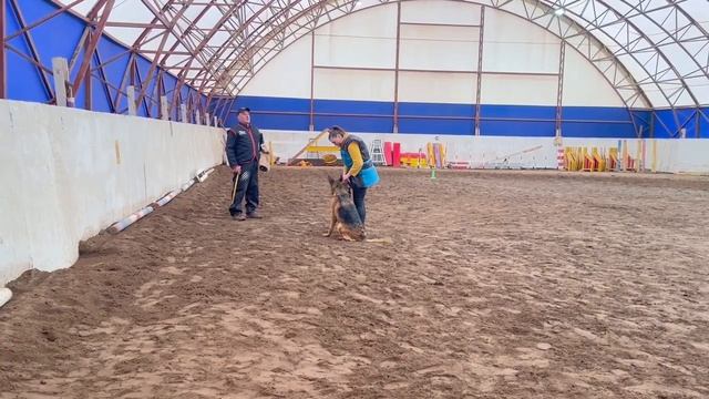 5.  выражено/перв GROSS ERFOLG FIRUZA (Open Soul Great Hit – Gross Erfolg Chempionka)