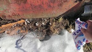 Не можешь открыть дверь? Посыпь лёд солью — работает безотказно