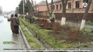 В Назрани продолжается работа по озеленению города