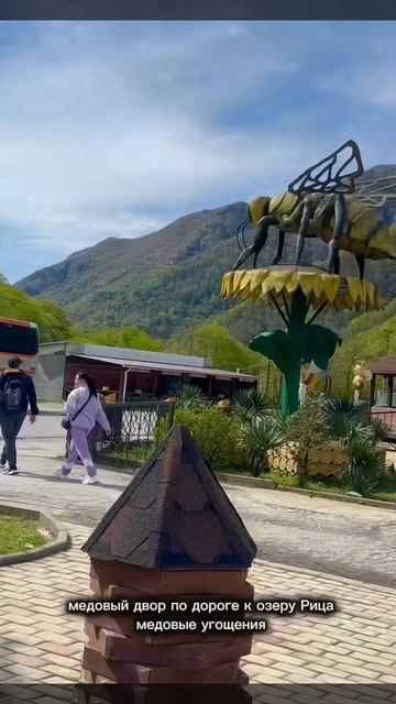 Абхазиявинодельнямедовый дом в горах