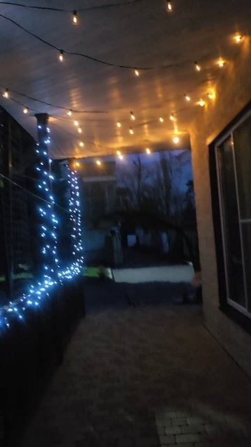 Красота моя