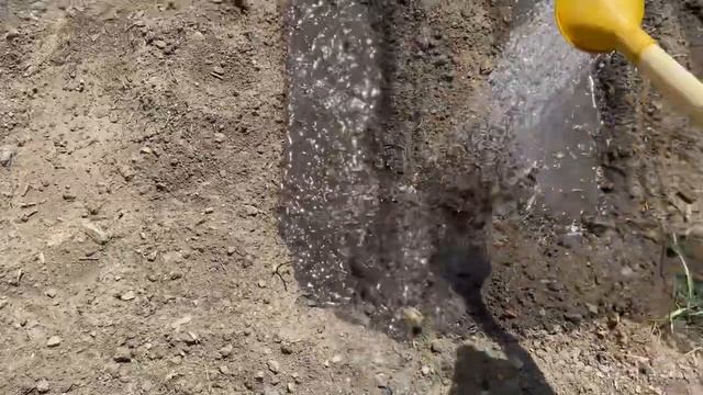 Для тех кто меня ненавидит