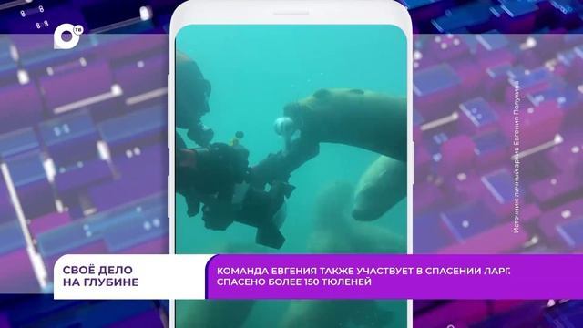 Без комментариев  Дайвер  17.04.26