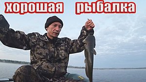 Рыбалка на щуку и сома с лодки!