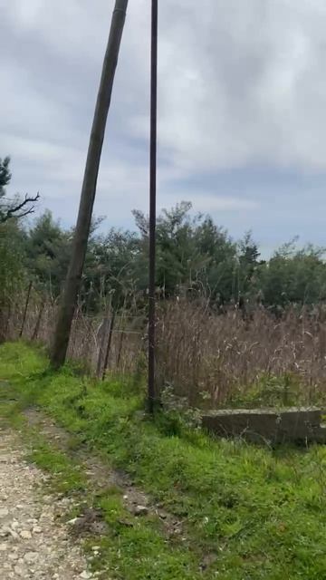 АБХАЗИЯ. 2026. Эксклюзивный участок в НОВОМ АФОНЕ! 18 соток у МОРЯ!