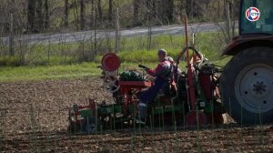 В Севастополе высадят новые виноградники почти на 180 гектарах