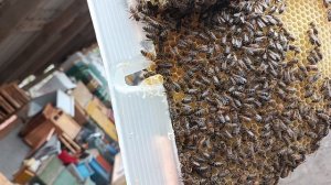 Запаздал с расширением.