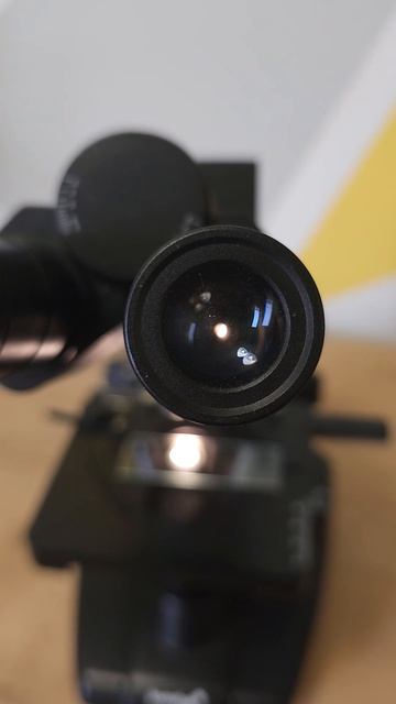 Родниковая вода под микроскопом. Правда ли она чистая? 💦