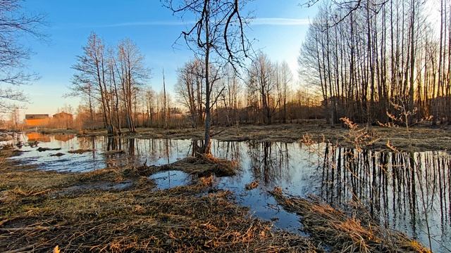 Река Востра. Вечер. ч.5. Апрель 2026