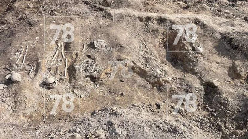 В Ленобласти найдено массовое захоронение убитых фашистами мирных граждан