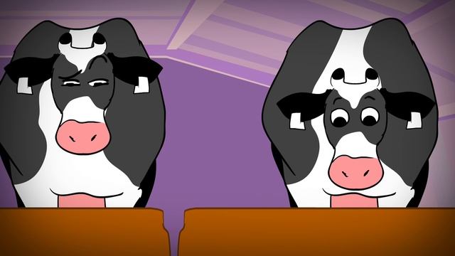 Взлом молочной фермы: какие последствие следующие 48 часов?