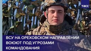 Боец Абинск: ВСУ на ореховском направлении воюют под угрозами командования