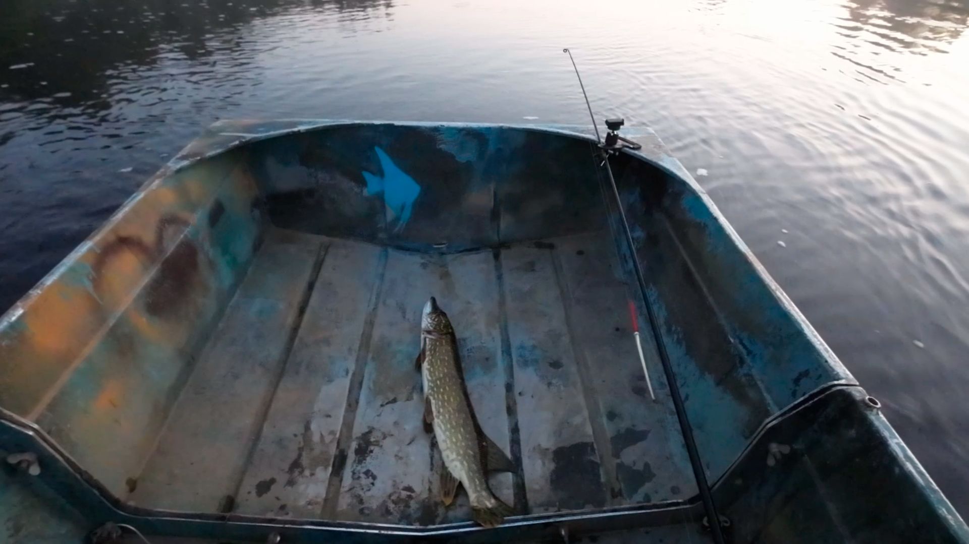 Заходят сюда набить своё брюхо