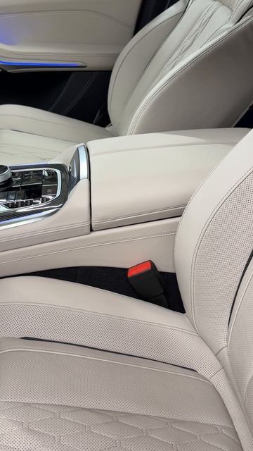 Перешили пластиковые элементы белого салона BMW X7