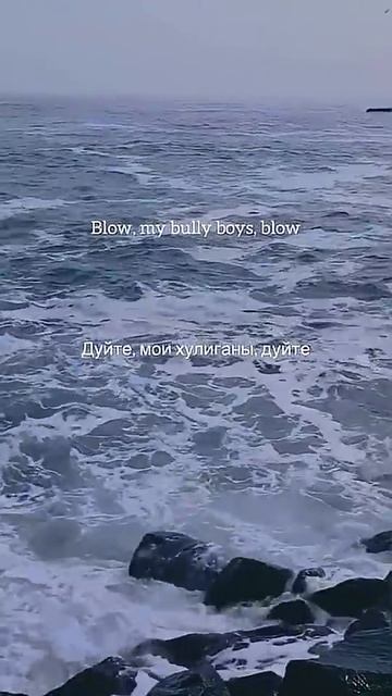 Nathan Evans  Wallerman Sea Shanty