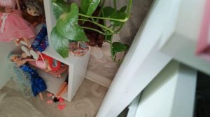 у нас новый босс. Лили и Мурка очень обрадовались. и они все подружились.