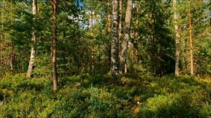 Срочно сделайте это с водой 17 апреля. Обряд, смоет годы страданий.