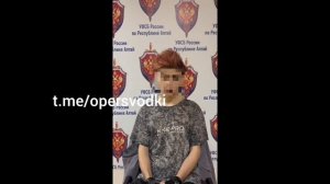 Задержание подростка, планировавшего совершать теракты в Республике Алтай