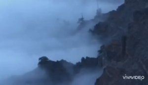 *** "ТУМАН" ______СЕКТОР ГАЗА ***