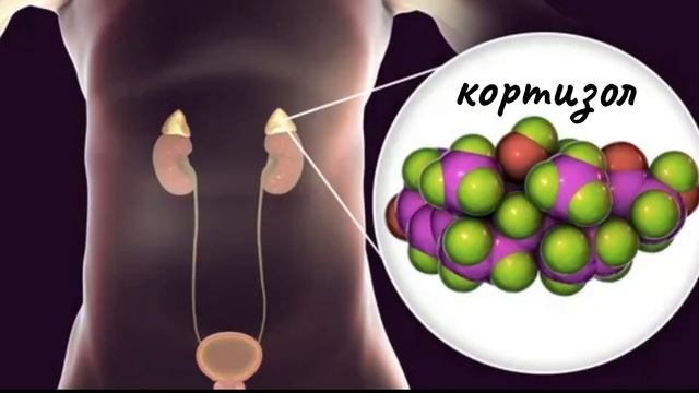 10 причин, которые мешают снизить вес