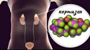 10 причин, которые мешают снизить вес