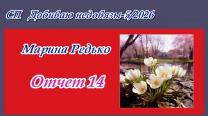 СП "Добиваю недовязы-5/2026" / Отчет 14