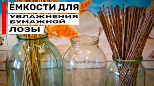 Увлажнение Бумажной Лозы: Какие Емкости Выбрать?