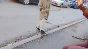 устанавливали велосипед с палкой попала в машину