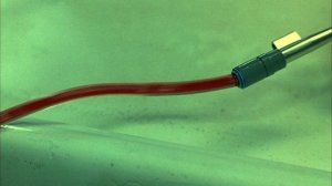 Морг (фильм, 2005)