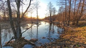 Река Востра. Вечер. ч.4. Апрель 2026